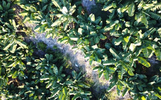 Turquoise Bay: Your Serene Seaside Paradise Awaits