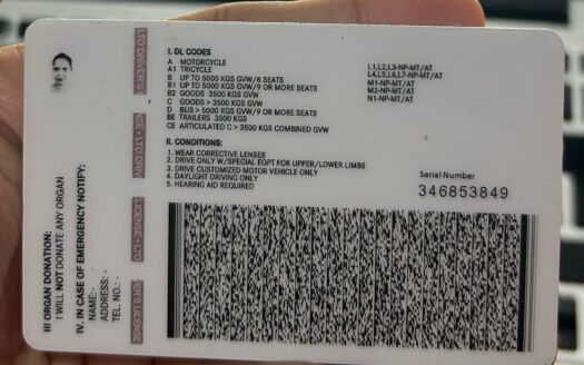 Villa Lotus – Ultra-Luxury Living Reimagined with Grand Wellness & Views