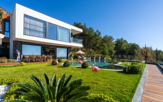 Villa Camellia – Where Nature’s Elegance Meets Mediterranean Grandeur