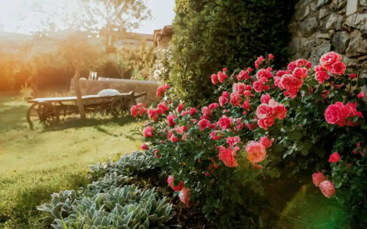 Chateau ASA – Timeless Elegance in Slovenia’s Karst Wine Region