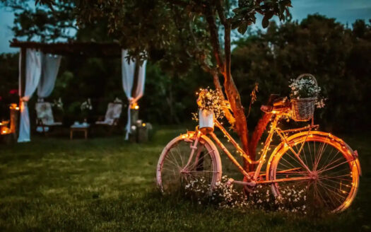 Chateau ASA – Timeless Elegance in Slovenia’s Karst Wine Region