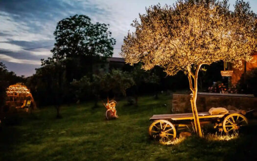 Chateau ASA – Timeless Elegance in Slovenia’s Karst Wine Region