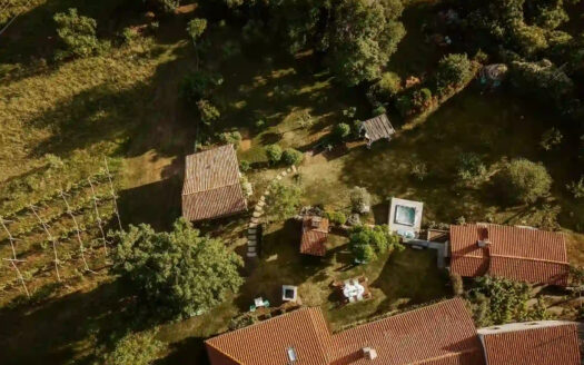 Chateau ASA – Timeless Elegance in Slovenia’s Karst Wine Region