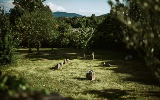 Chateau ASA – Timeless Elegance in Slovenia’s Karst Wine Region