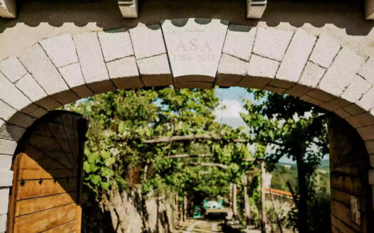 Chateau ASA – Timeless Elegance in Slovenia’s Karst Wine Region