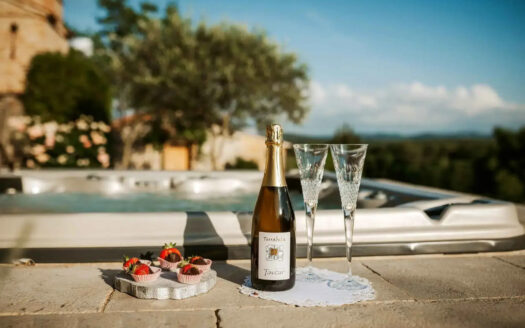 Chateau ASA – Timeless Elegance in Slovenia’s Karst Wine Region