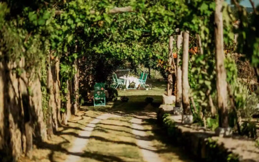 Chateau ASA – Timeless Elegance in Slovenia’s Karst Wine Region