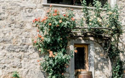 Chateau ASA – Timeless Elegance in Slovenia’s Karst Wine Region