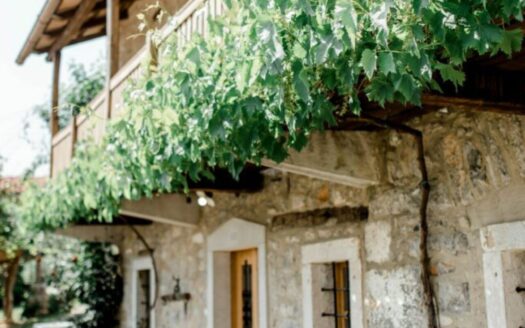 Chateau ASA – Timeless Elegance in Slovenia’s Karst Wine Region