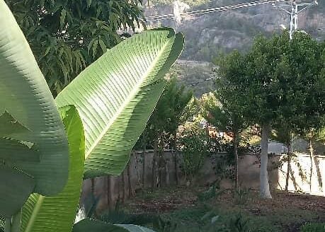 Unmatched Privacy & Elegance – Discover Villa Celestia